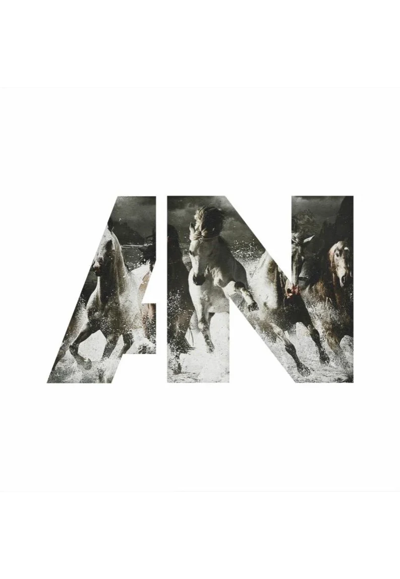 Awolnation - Run (10th Anniversary Deluxe Edition) Ltd. Silver & White - Colored 3 Vinyl - Image 2