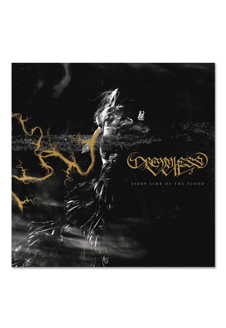 Dreamless Veil - Every Limb Of The Flood Ltd. Translucent Gold - Colored Vinyl - Image 2
