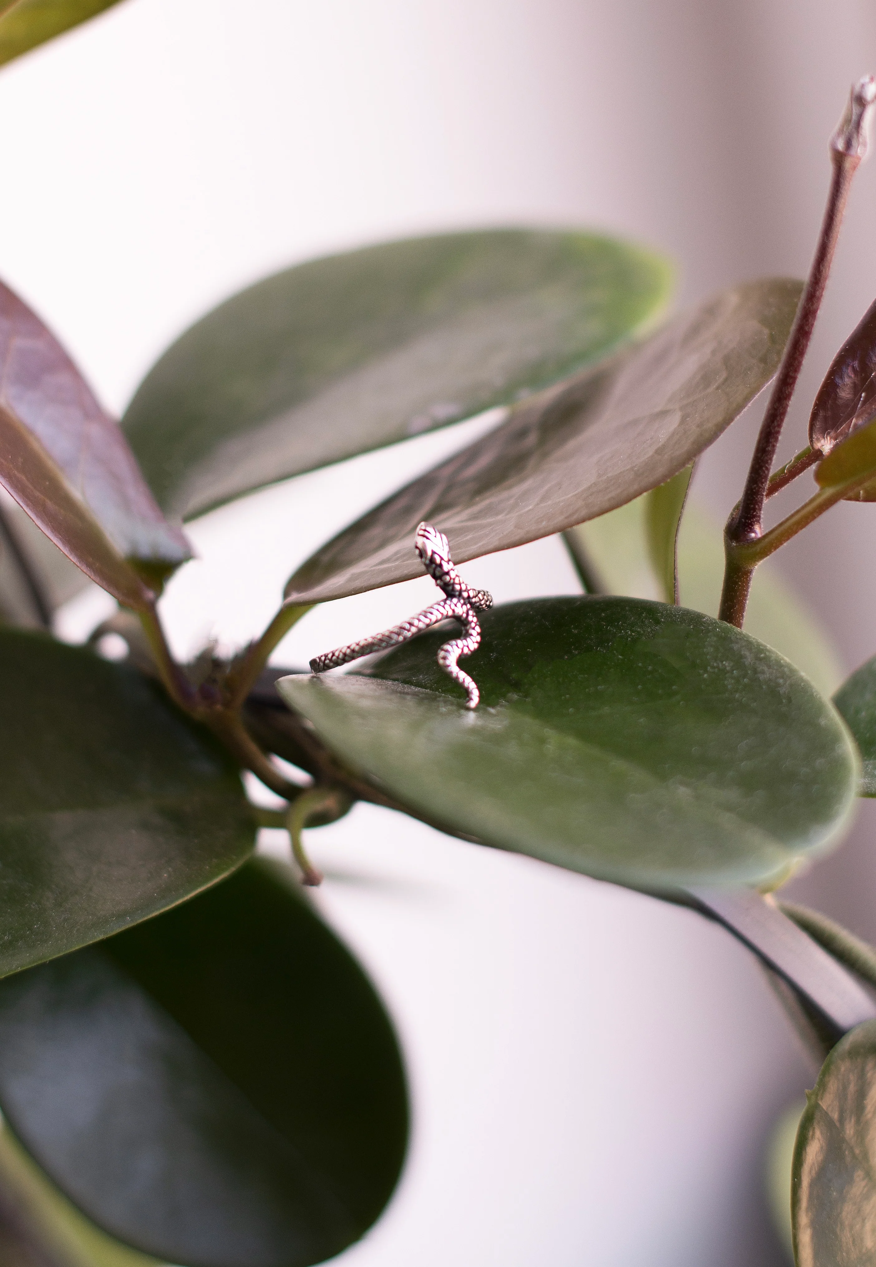 etNox - Snake II Silver - Ring - Image 3