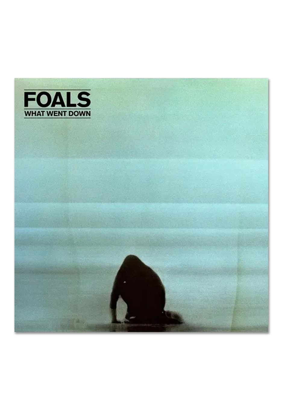 Foals - What Went Down Ltd. Clear/Black - Colored Vinyl - Image 2