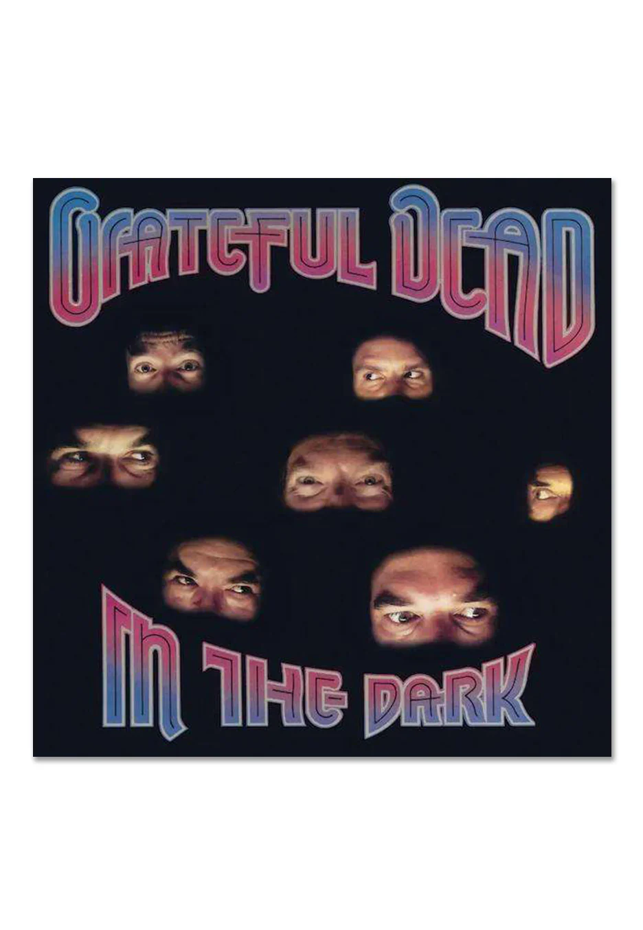Grateful Dead - In The Dark Ltd. Silver - Colored Vinyl - Image 2