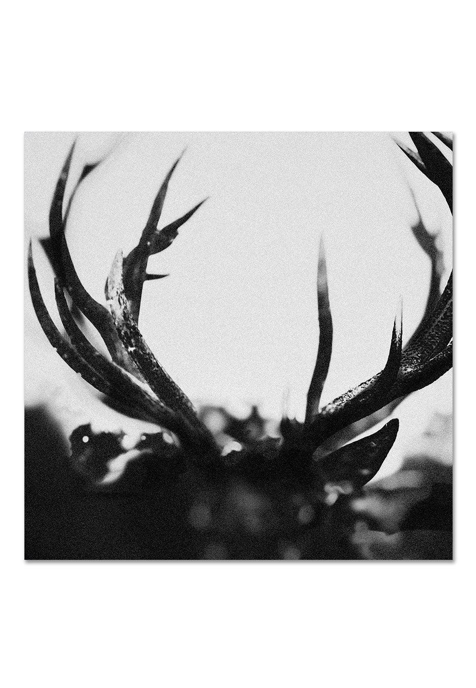 Ihsahn - Ihsahn Ltd. Black Yolk - Colored 2 Vinyl - Image 2