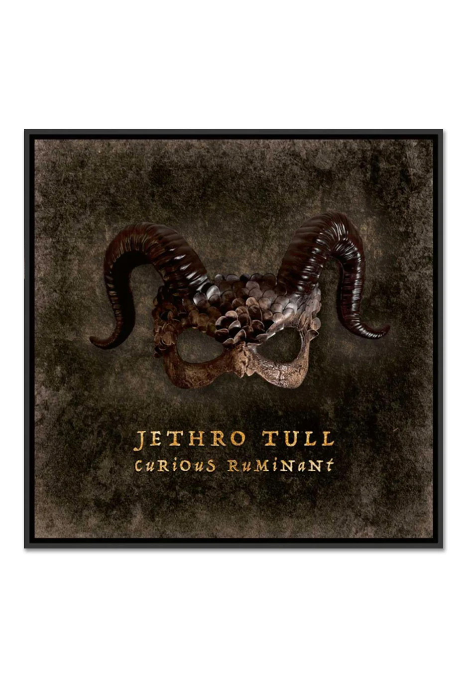 Curious Ruminant (Limited Deluxe Edition) - Digipak 2 CD + Blu Ray Artbook - Image 2