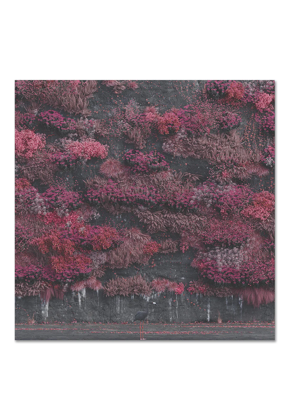 Even In Arcadia Metallic Gold - 2 Indie Exclusive Vinyl - Image 2