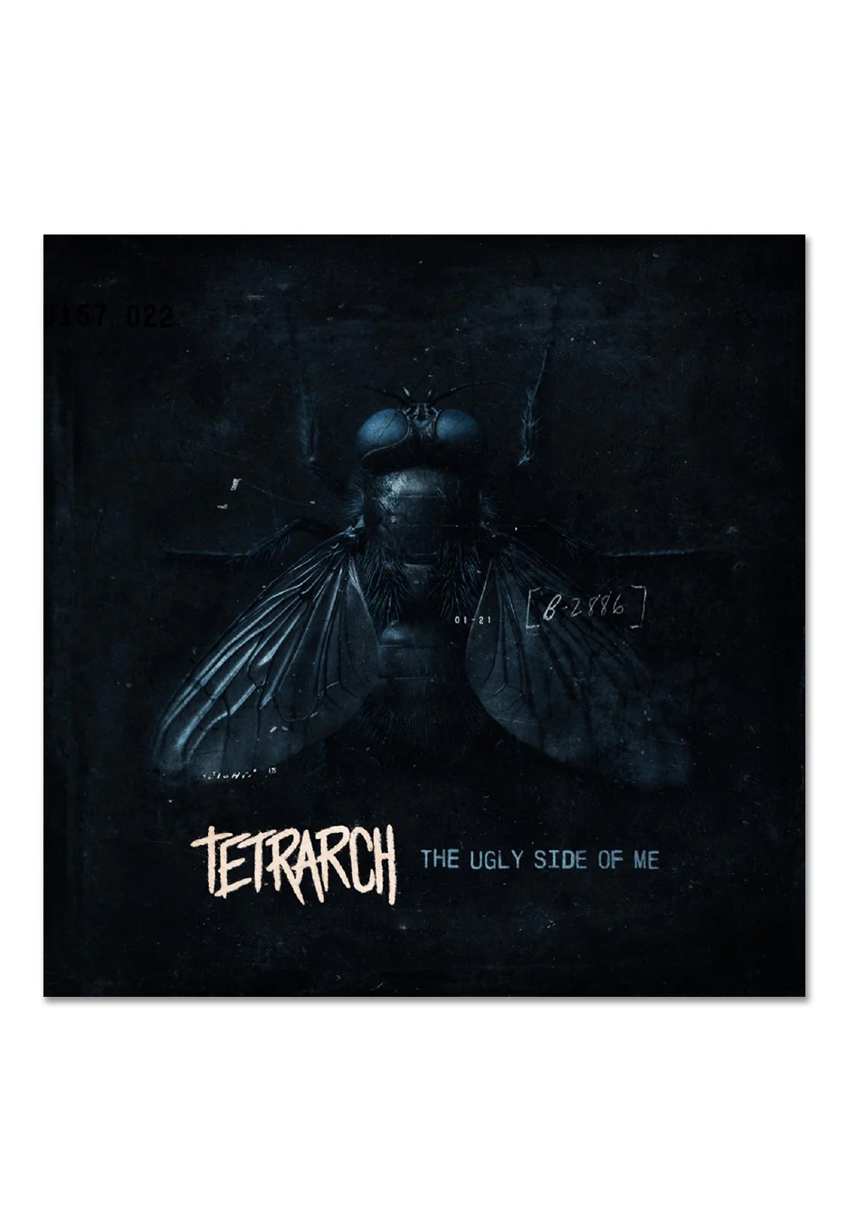 Tetrarch - The Ugly Side Of Me Crystal Clear - Colored Vinyl - Image 2