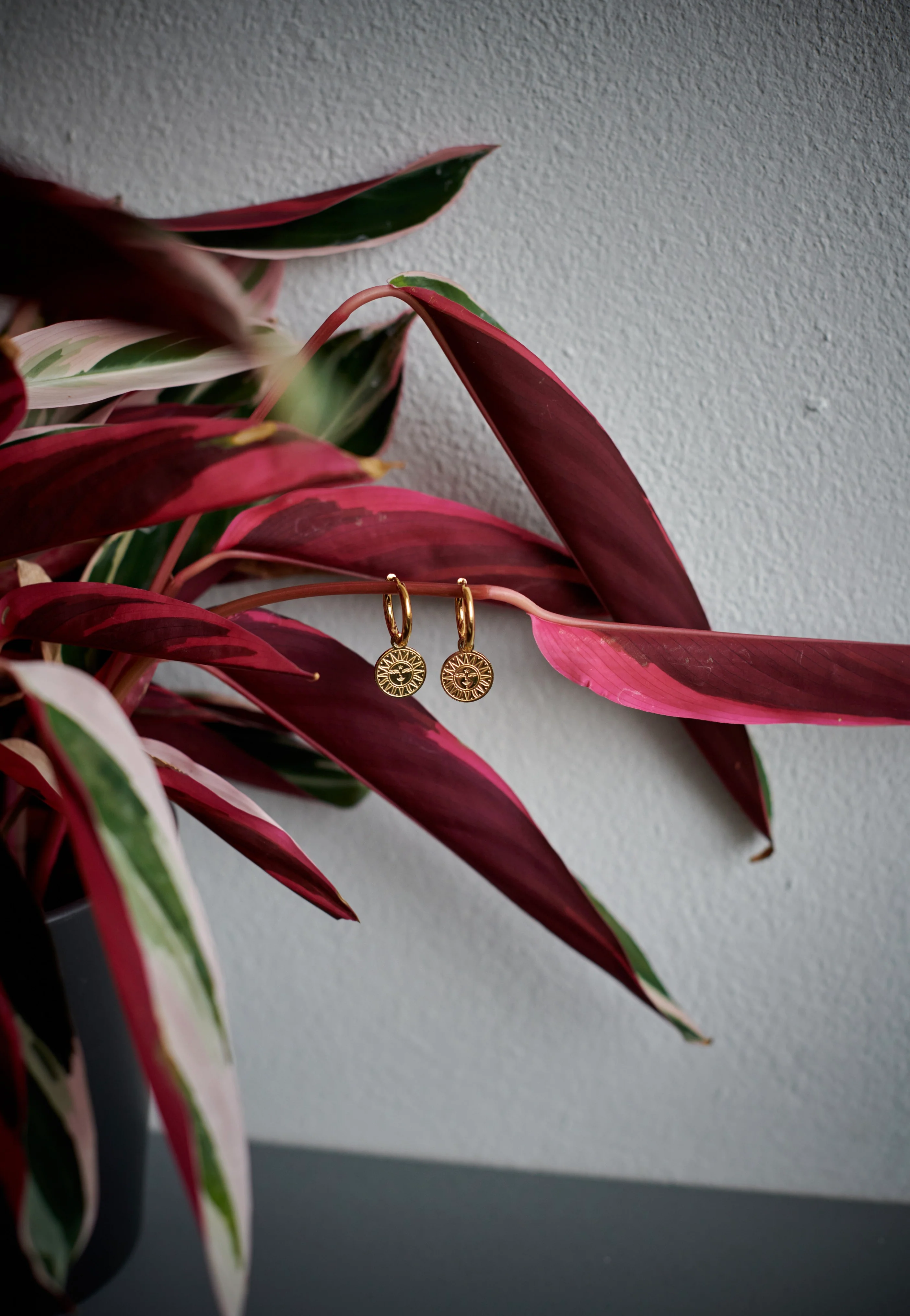 Little Sun Moon Gold - Earrings - Image 5